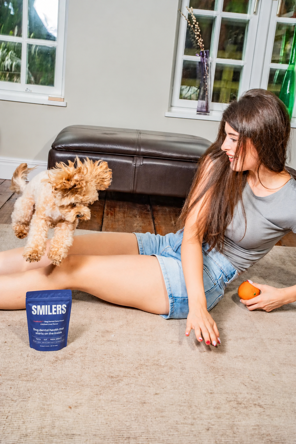 Dog enjoying time with its owner