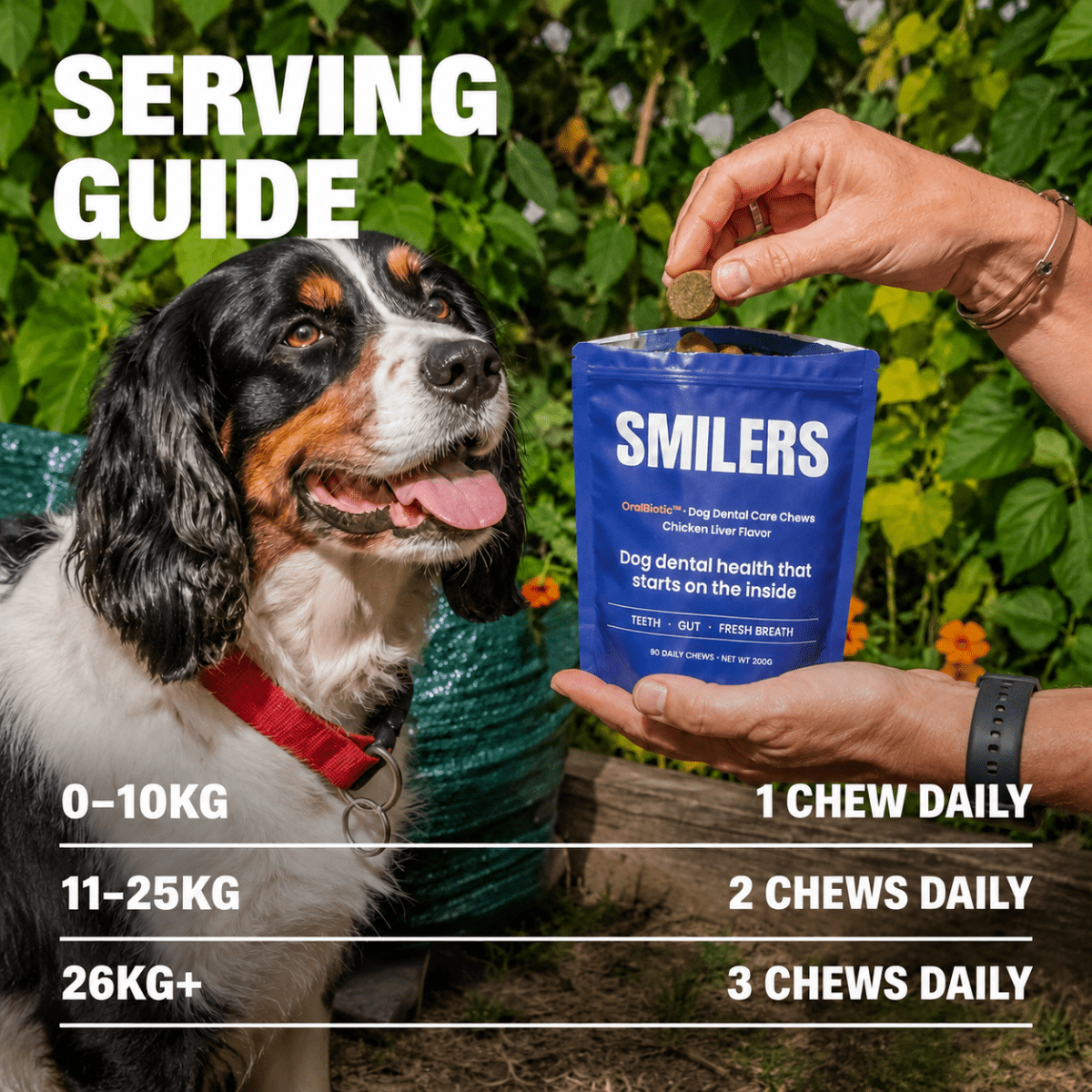 Smilers OralBiotic™ Dental Soft Chews - Smilers