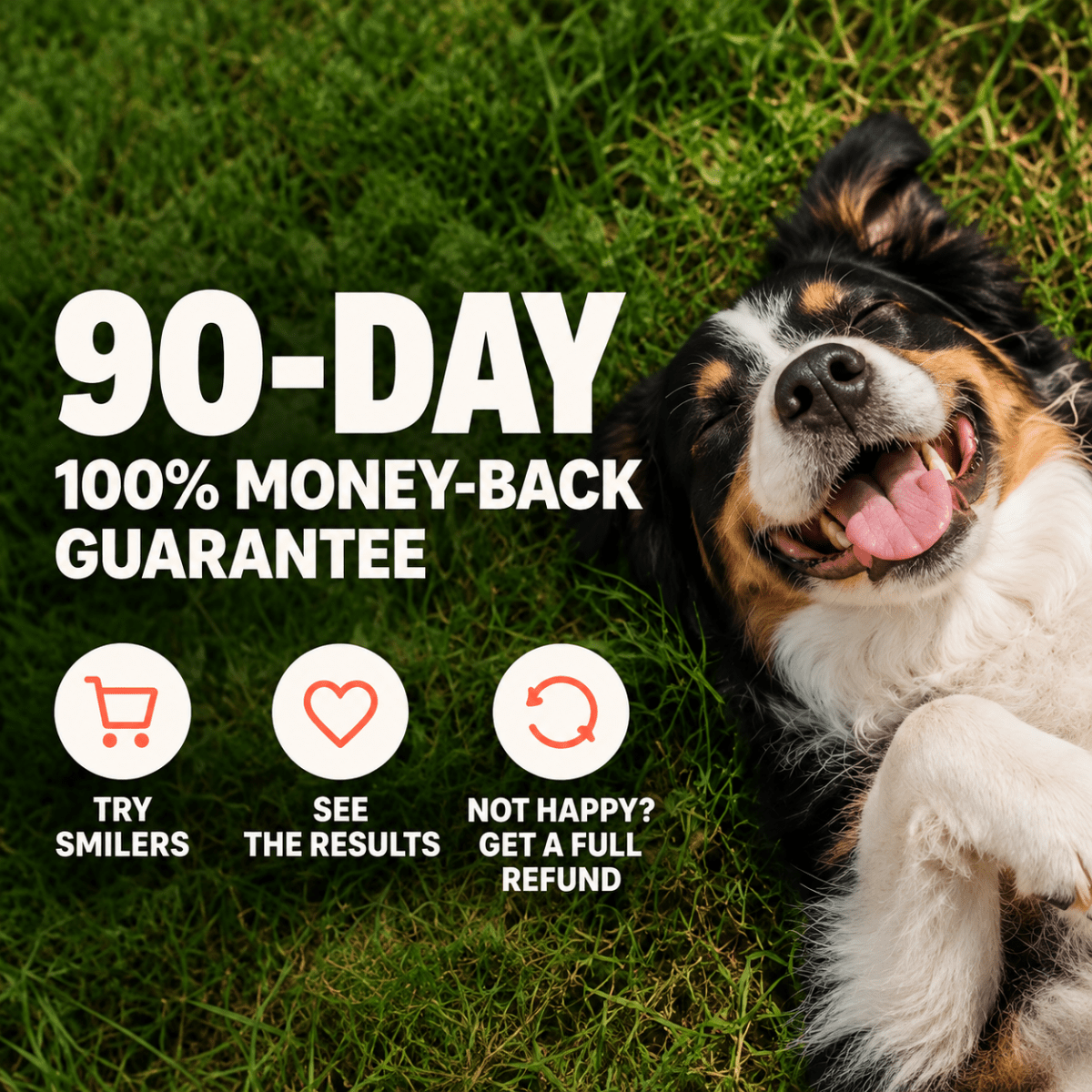 Smilers OralBiotic™ Dental Soft Chews - Smilers